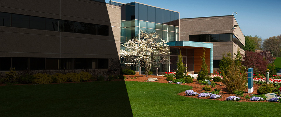 Harrington Landscapers