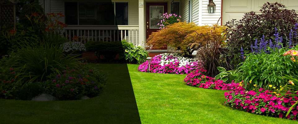 Harrington Landscapers