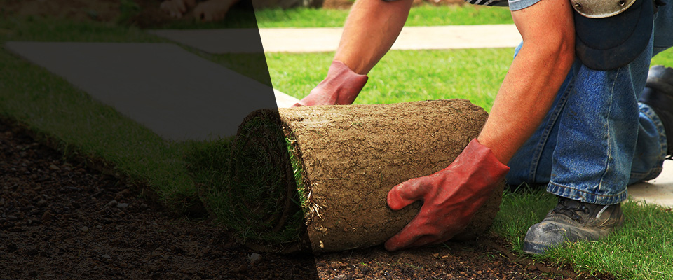 Harrington Landscapers